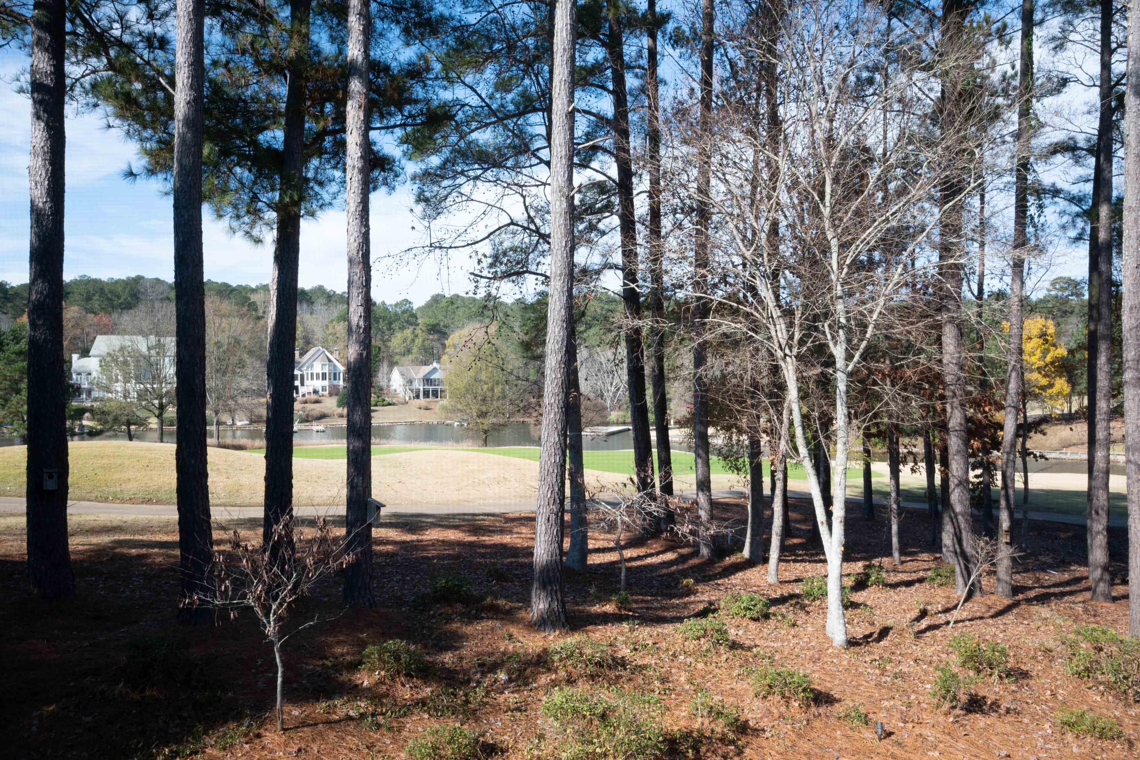 1080 Club Pointe Circle image 20